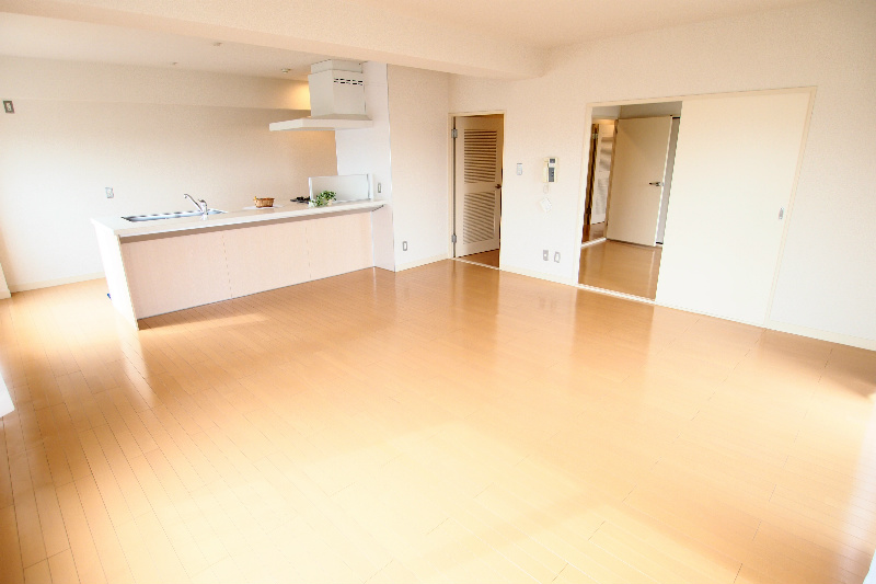 Living and room. 20 Pledge of living. Counter type of kitchen is happy