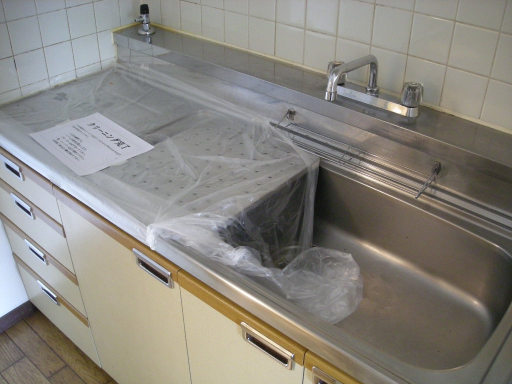 Kitchen. Two-burner gas stove can be installed