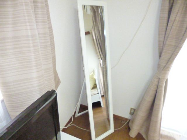 Living and room. There is also large full-length mirror
