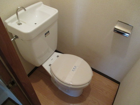 Toilet. Toilet
