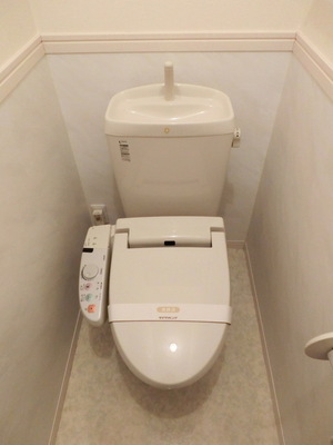 Toilet. Cleaning function toilet