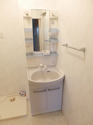 Washroom. Shampoo dresser