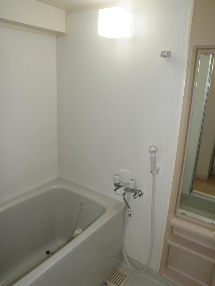 Bathroom. Indoor (11 May 2013) Shooting