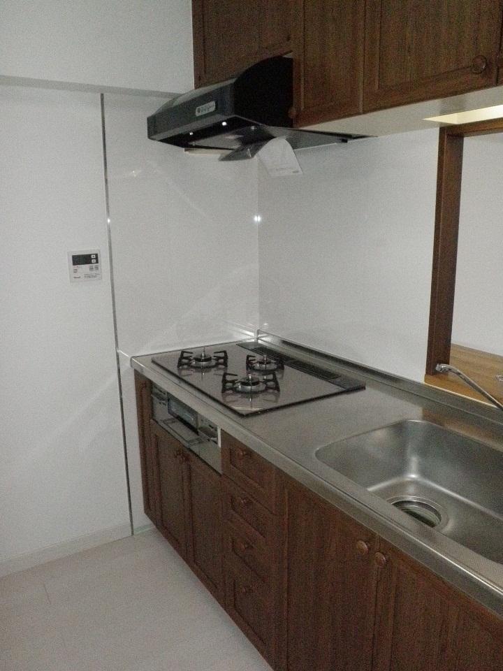 Kitchen. Indoor (11 May 2013) Shooting