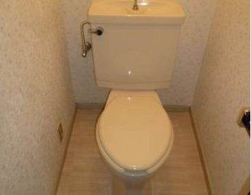 Toilet. The same type