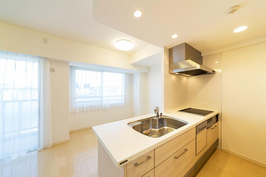 Kitchen. Popular counter kitchen with even a dishwasher.