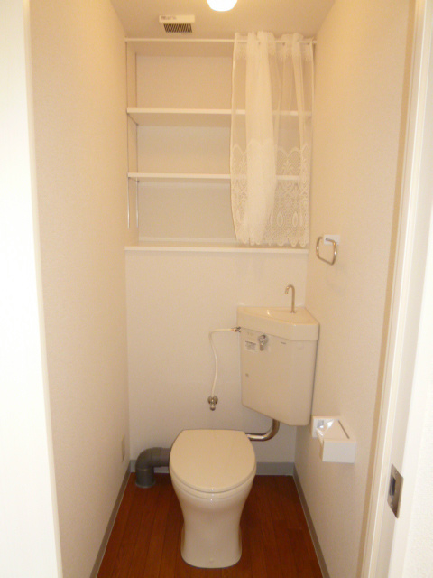 Other. Shelf with toilet