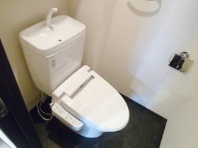 Toilet. Cleaning function with toilet seat