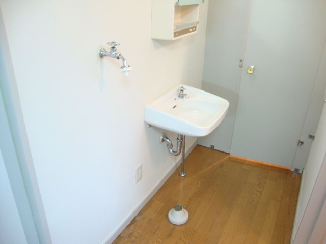 Other. There is also a wash basin