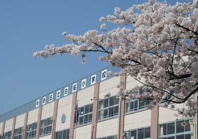 Primary school. Nakano Ward Shirosakura to elementary school 195m