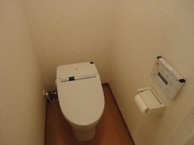 Toilet. Tankless toilet