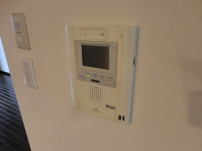 Security. Interphone with a monitor