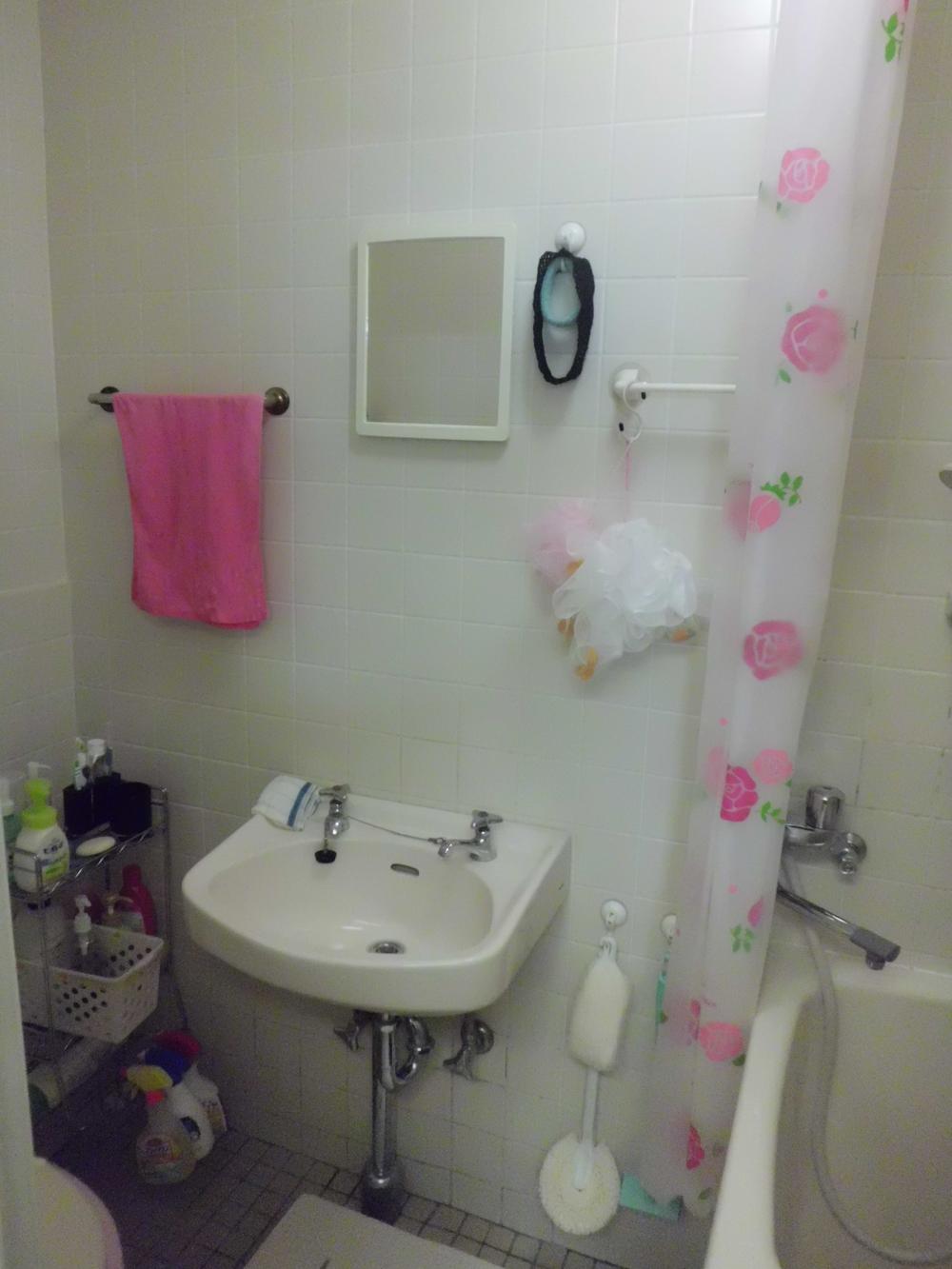 Wash basin, toilet. Indoor (June 2013) Shooting