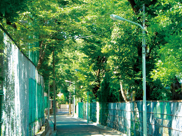 Surrounding environment. Local neighborhood streets (about 750m ・ A 10-minute walk)