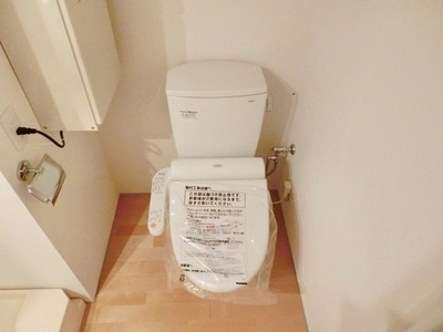 Toilet. Washlet toilet