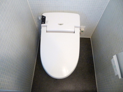 Toilet. Bidet