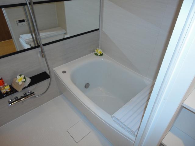 Bathroom. Indoor (12 May 2013) Shooting