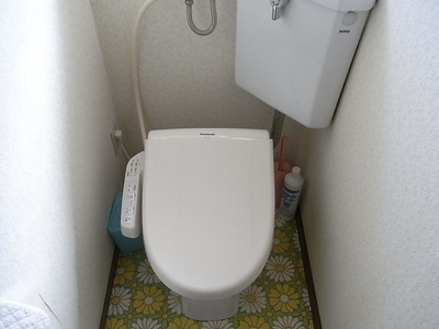 Toilet. Cleaning function toilet