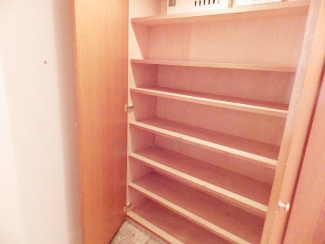 Entrance. Footwear purse