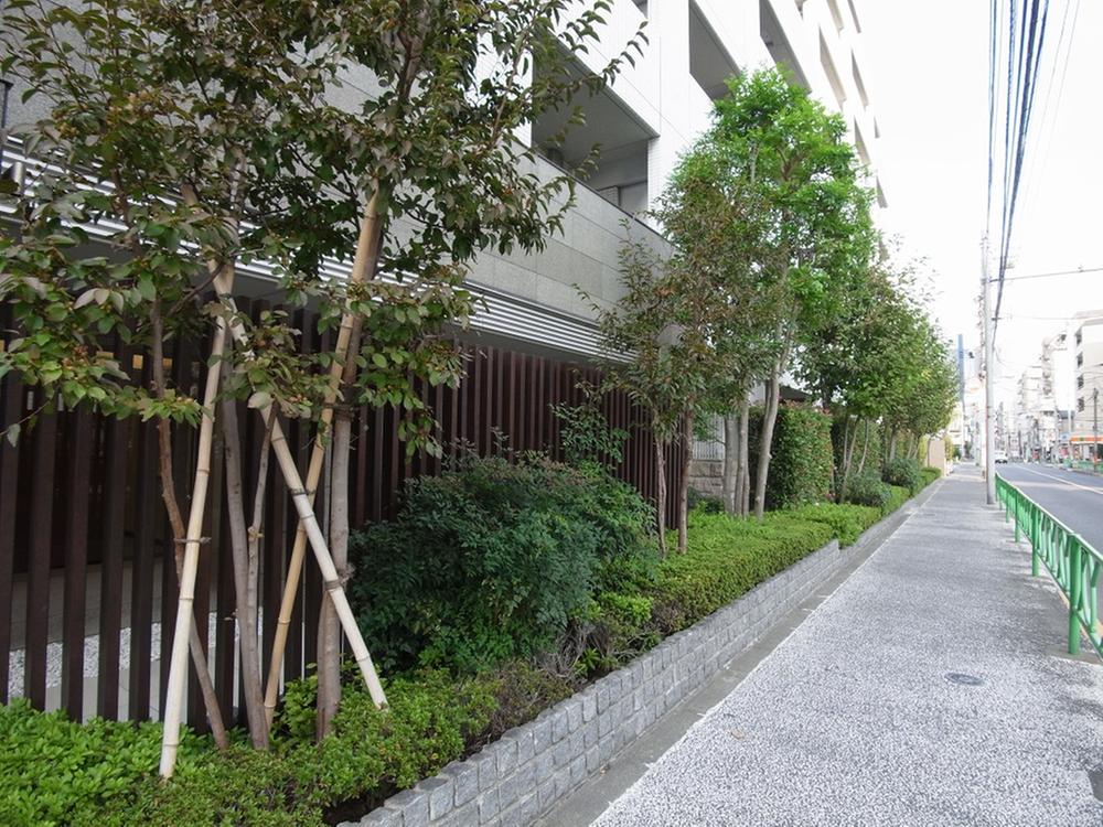 Local appearance photo