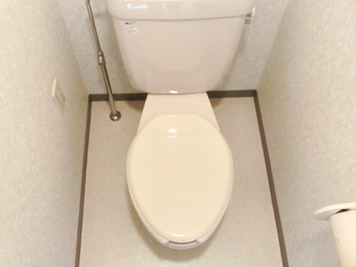 Toilet. Toilet