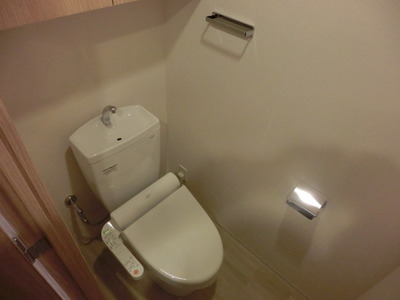 Toilet. Shower toilet