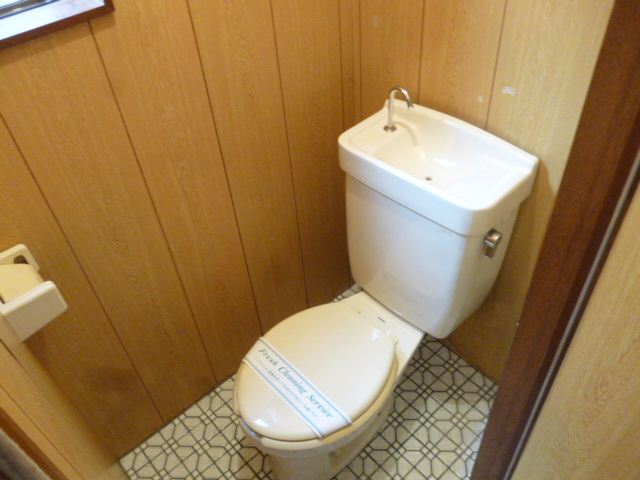 Toilet. For indoor beauty room