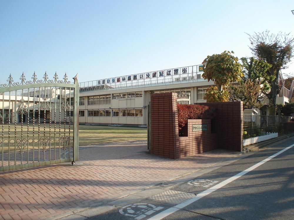 Primary school. Nakano 80m Nakano Ward Gangwon elementary school to stand Gangwon elementary school