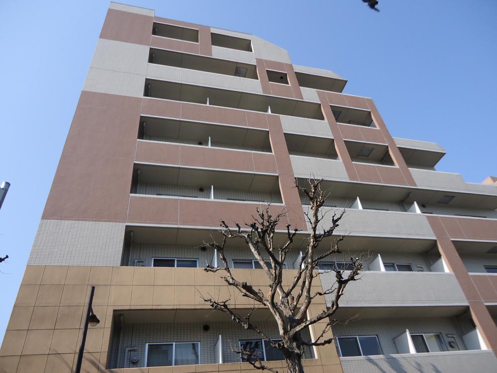 Local appearance photo. Local (February 2012) Shooting