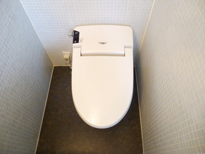 Toilet. Toilet