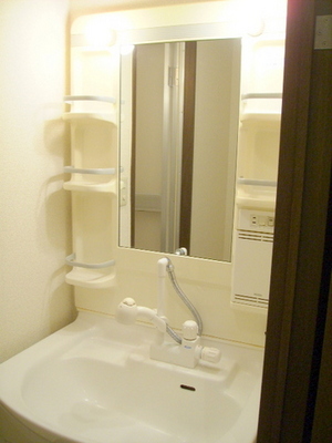 Washroom. Large shampoo dresser