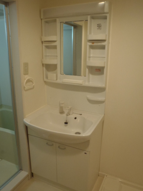 Washroom. Shampoo dresser