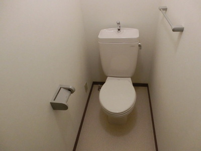 Toilet. Western-style toilet