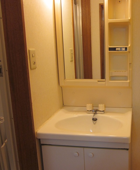 Washroom. Storage with separate vanity