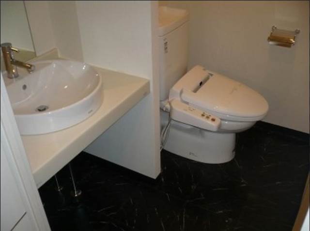 Washroom. Independent wash basin