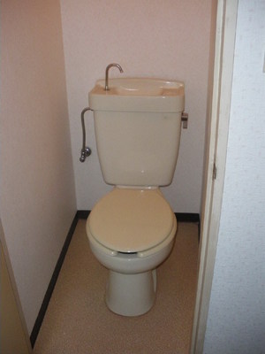 Toilet. Toilet