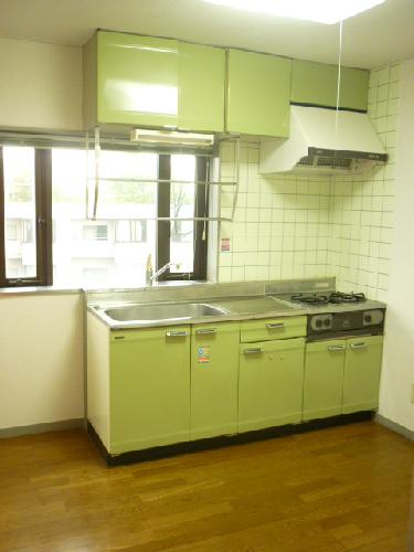 Kitchen. System Gasukitchin