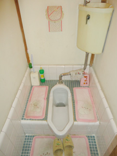 Other. Squat toilet