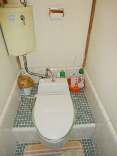 Other. Western-style toilet