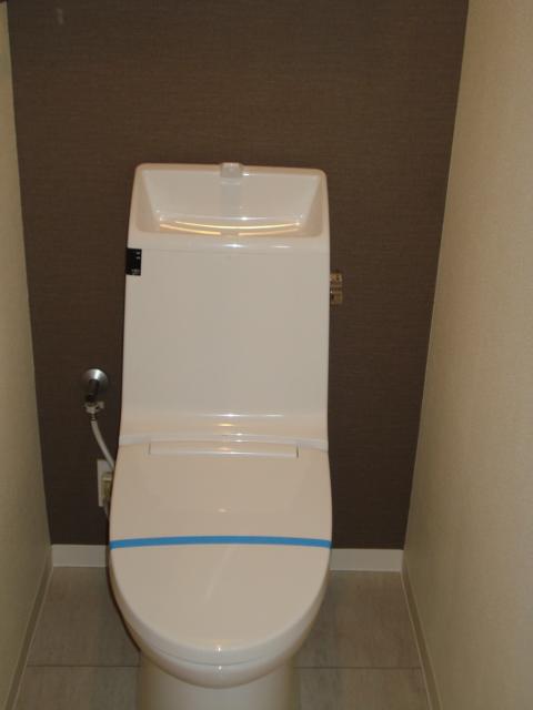 Toilet. Indoor shooting