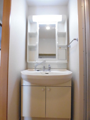 Washroom. With separate wash basin