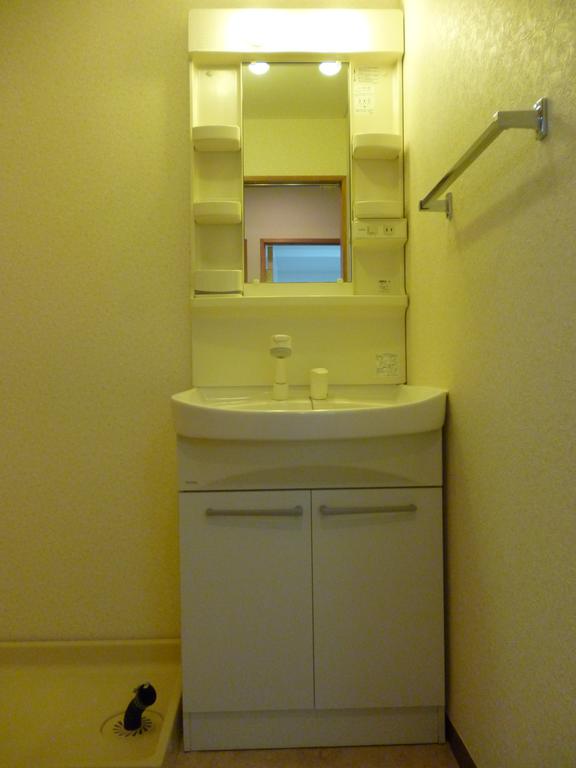 Washroom. Bathroom Vanity