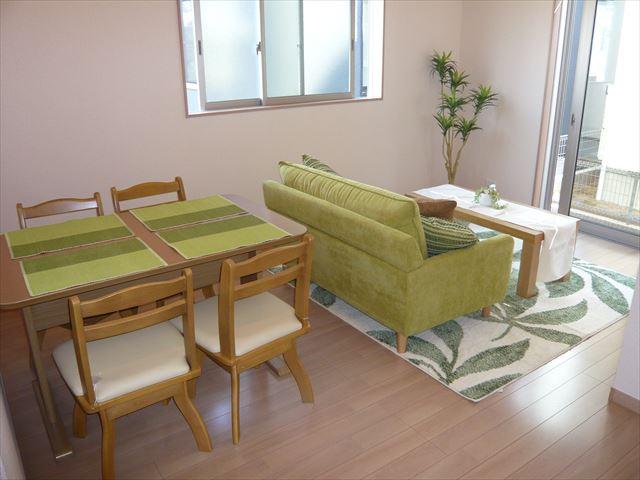 Living. Indoor (09 May 2013) Shooting