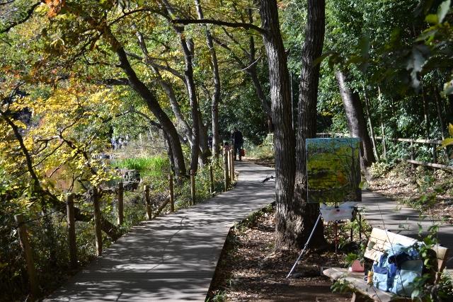 park. Promenade on the banks of the pond 600m to Shakujii Park