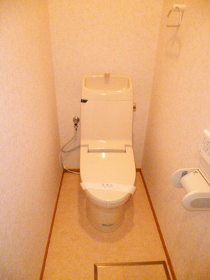 Toilet. Bidet with toilet