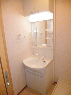 Washroom. With shampoo dresser