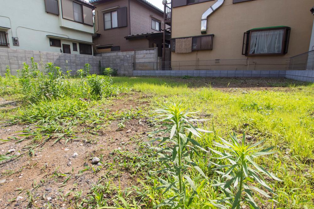 Local appearance photo. Local (July 2013) Shooting