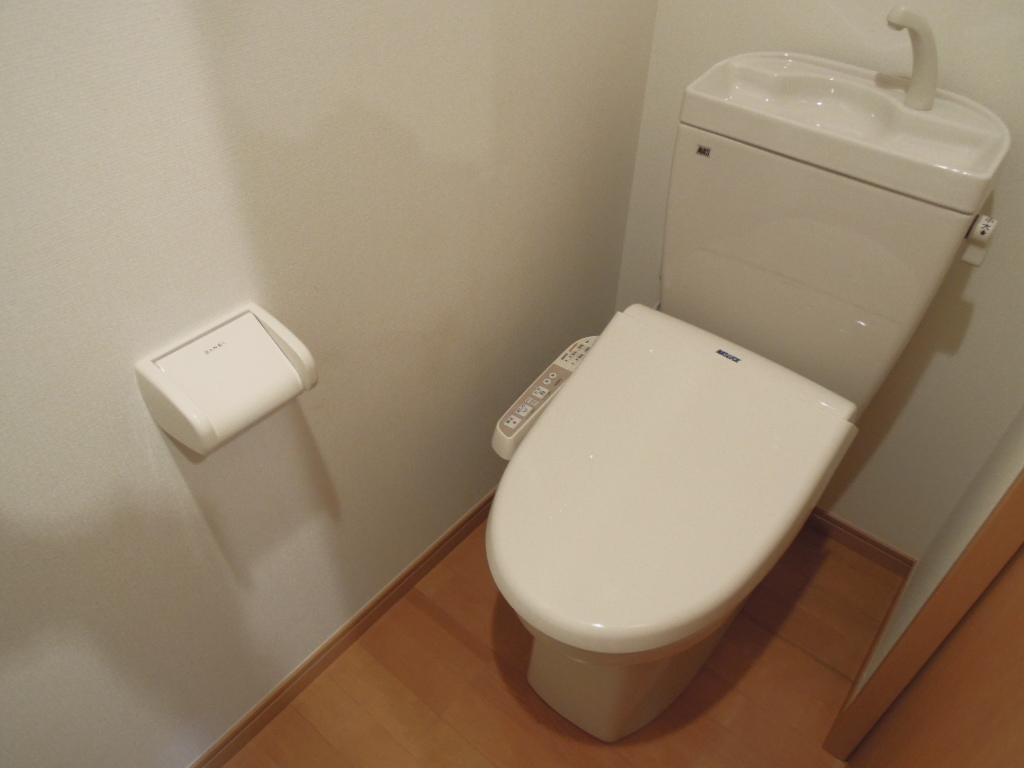 Toilet. With hot cleaning function