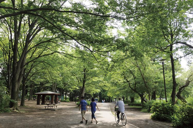park. Stand Tokyo boasts a vast site Shakujii Park. The park Sambo pond, Shakujii pond, There is such as Square, Various plants, Us forest is to show the expression of the four seasons. It has been popular as a place of recreation and relaxation for many of the people on holiday.