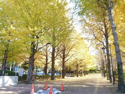 park. Johoku 30m to Central Park (park)